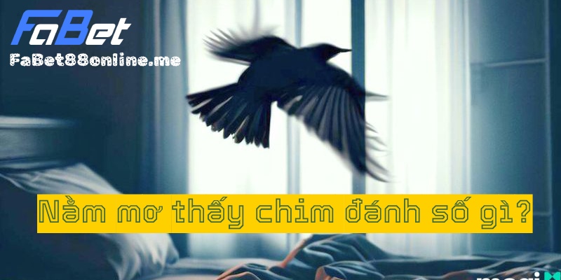 nằm mơ thấy chim đánh số gì